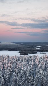 Превью обои лес, река, снег, вид сверху, пейзаж, зима