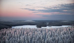 Превью обои лес, река, снег, вид сверху, пейзаж, зима