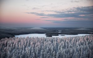 Превью обои лес, река, снег, вид сверху, пейзаж, зима