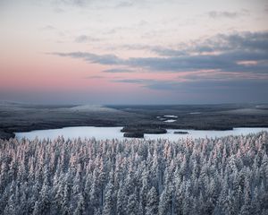 Превью обои лес, река, снег, вид сверху, пейзаж, зима