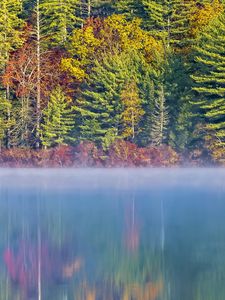 Превью обои лес, река, туман, осень, пейзаж