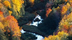 Превью обои лес, река, вид сверху, осень, деревья, разноцветный