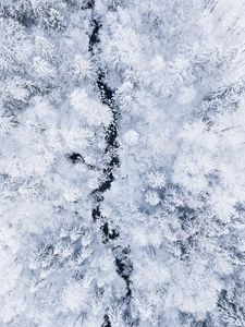 Превью обои лес, река, вид сверху, снег, зима, белый