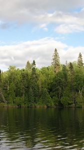 Превью обои лес, река, вода, берег, зелень, лето, небо