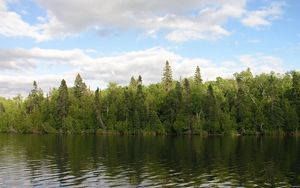 Превью обои лес, река, вода, берег, зелень, лето, небо