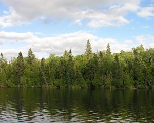 Превью обои лес, река, вода, берег, зелень, лето, небо