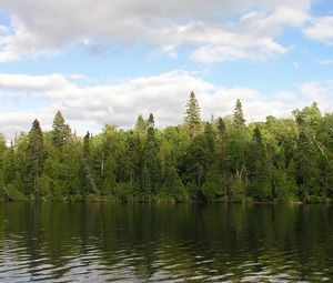 Превью обои лес, река, вода, берег, зелень, лето, небо