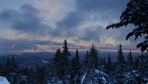Превью обои лес, снег, деревья, зима, горы, небо, природа