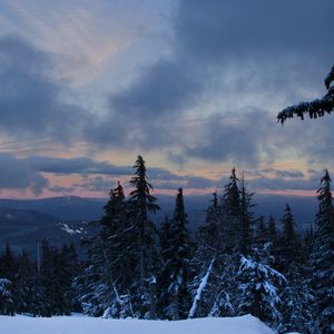 Превью обои лес, снег, деревья, зима, горы, небо, природа