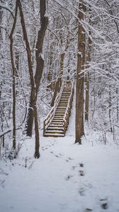 Превью обои лес, снег, лестница, деревья, природа