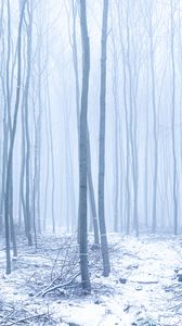 Превью обои лес, снег, туман, деревья, зима