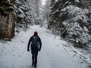 Превью обои лес, снег, турист, зима, деревья