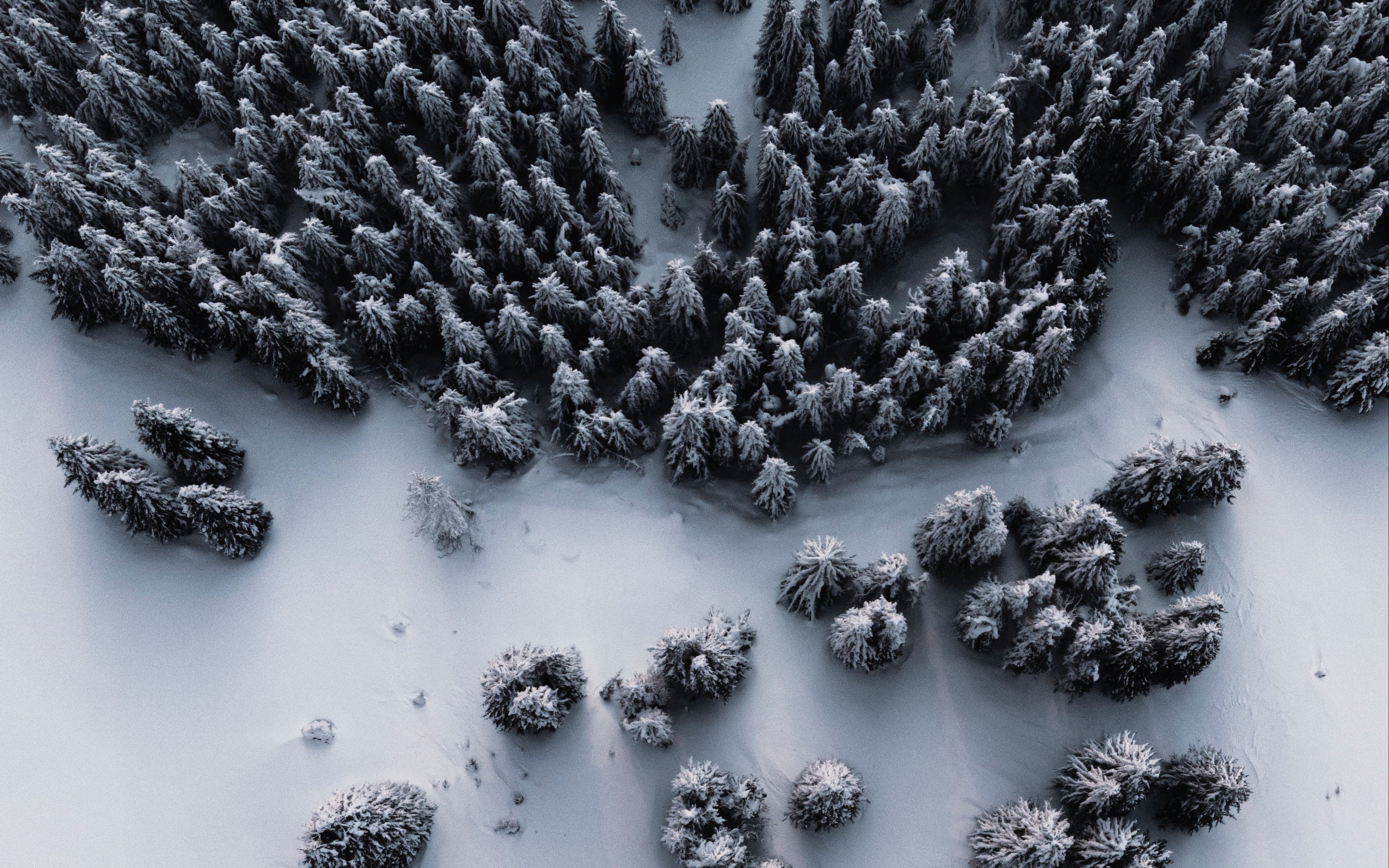 Фото Сверху Зимой
