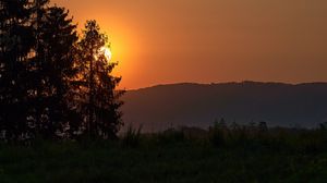 Превью обои лес, солнце, закат, холм, трава