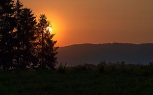 Превью обои лес, солнце, закат, холм, трава