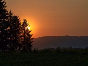 Превью обои лес, солнце, закат, холм, трава