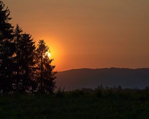 Превью обои лес, солнце, закат, холм, трава