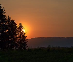 Превью обои лес, солнце, закат, холм, трава