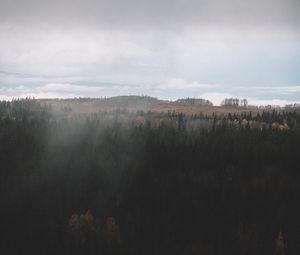 Превью обои лес, темный, вид сверху, облака, пейзаж