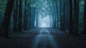 Превью обои лес, тропа, деревья, природа