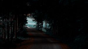 Превью обои лес, тропинка, деревья, темный, тень