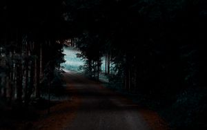 Превью обои лес, тропинка, деревья, темный, тень