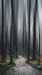 Превью обои лес, тропинка, деревья, размытость, иллюзия
