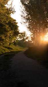 Превью обои лес, тропинка, деревья, лучи, закат