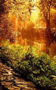 Превью обои лес, тропинка, камни, солнечный свет, лучи, деревья, растительность