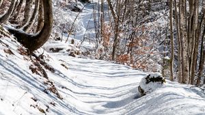 Превью обои лес, тропинка, снег, зима