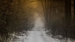 Превью обои лес, тропинка, туман, снег, природа