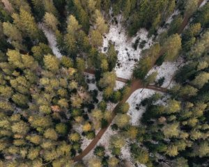 Превью обои лес, тропинки, вид сверху, деревья, снег