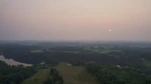 Превью обои лес, туман, деревья, небо, пейзаж