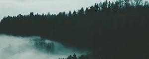 Превью обои лес, туман, деревья, ночь