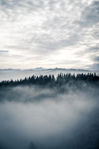 Превью обои лес, туман, деревья, пейзаж, природа, небо