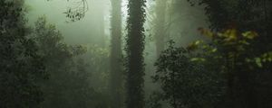 Превью обои лес, туман, деревья, растительность