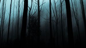 Превью обои лес, туман, деревья, мрачный, ночь