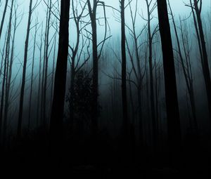 Превью обои лес, туман, деревья, мрачный, ночь