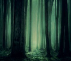 Превью обои лес, туман, деревья, темный, мрачный