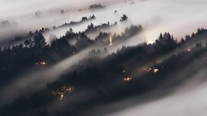 Превью обои лес, туман, деревья, блеск, вид сверху