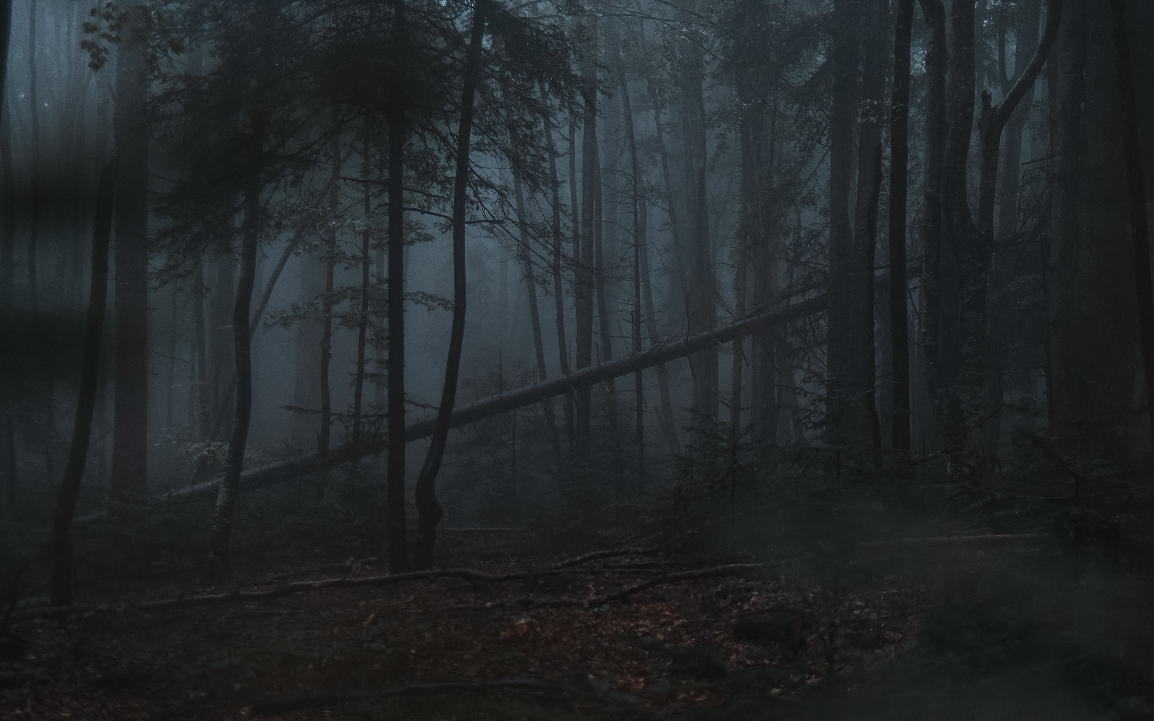 Мрачные леса (2019) фильм