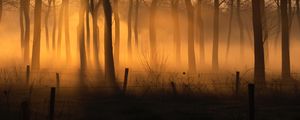 Превью обои лес, туман, деревья, забор