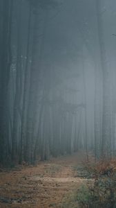 Превью обои лес, туман, деревья, тропинка, мрак