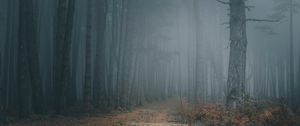 Превью обои лес, туман, деревья, тропинка, мрак