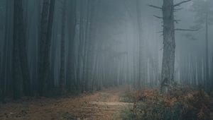 Превью обои лес, туман, деревья, тропинка, мрак