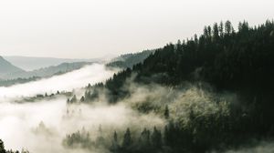 Превью обои лес, туман, деревья, холмы