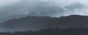 Превью обои лес, туман, деревья, холмы, мрак