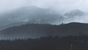 Превью обои лес, туман, деревья, холмы, мрак