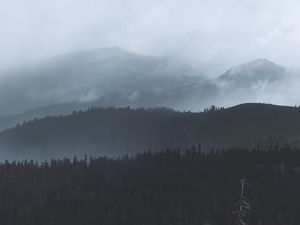 Превью обои лес, туман, деревья, холмы, мрак