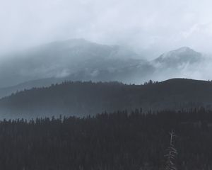 Превью обои лес, туман, деревья, холмы, мрак